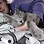 Naps With Cats's avatar image