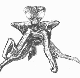 Star Bugs (Antoptopod)